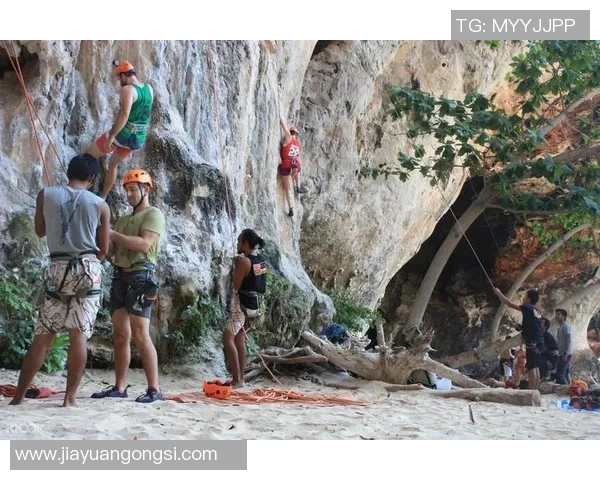 张强谈攀岩之路：从初学者到顶尖选手的心路历程与成长故事