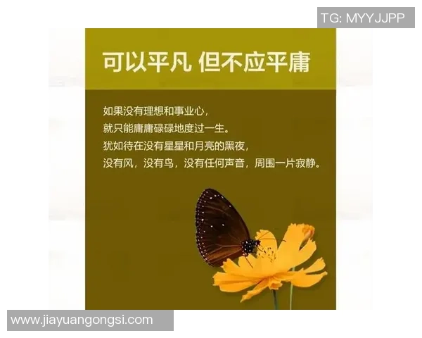 极限运动的成功秘笈黄丽分享她的奋斗历程与心路历程